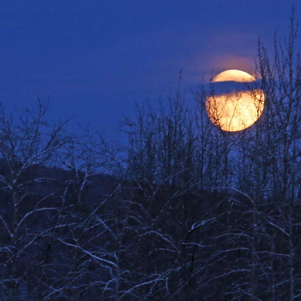 Moonrise